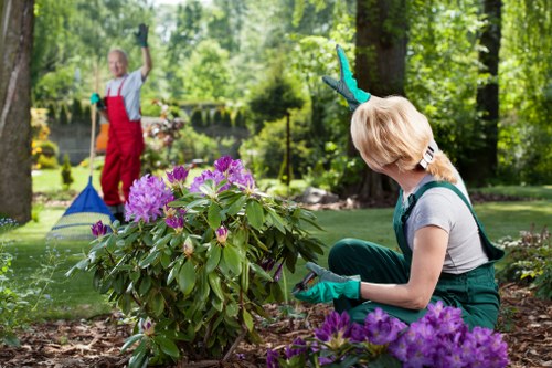 Secure tree surgeon payment process with safe online transaction protection