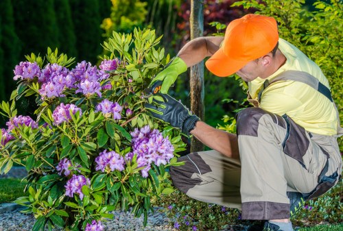 Tree surgeon reviewing a customer complaint in a professional setting