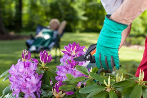 Accessibility request process for Tree Surgeon Walthamforest users