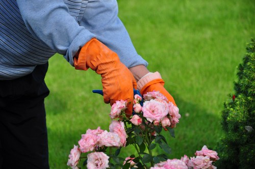 Keyboard navigation and structured web content for tree surgery information